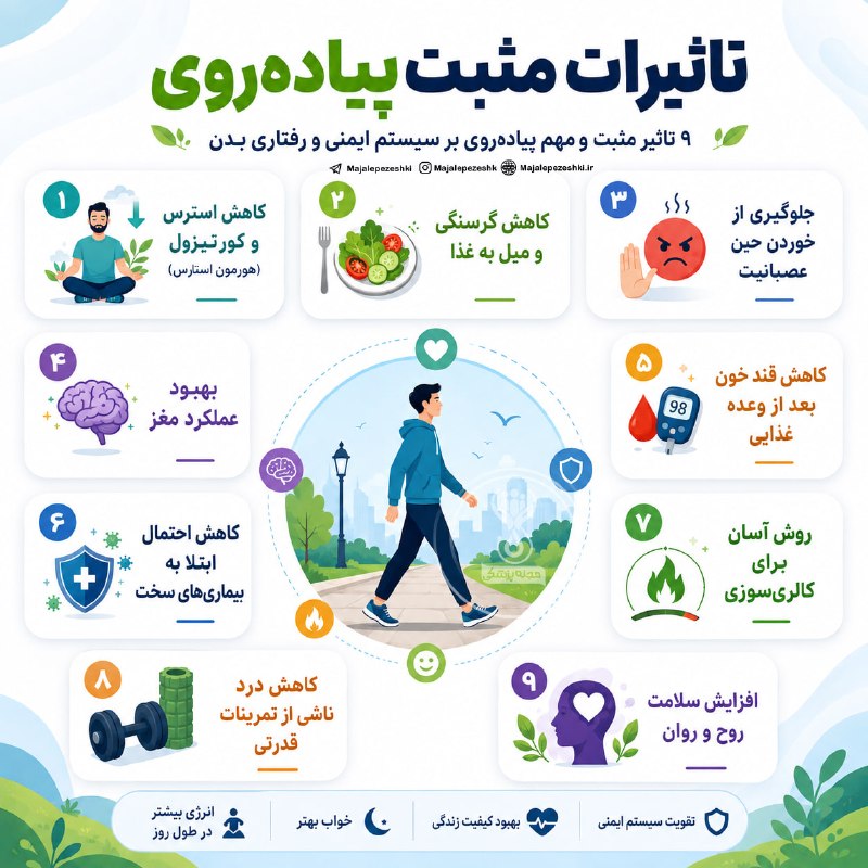 🌍شهر من اسلام آباد🌍: تاثیرات مثبت پیاده‌روی بر سیستم ایمنی و رفتاری بدن!🍀🌺🍀ڪانال "شهر من اسلام آباد"🍀🌺☘https://t.me/joinchat/AAAAADyVLY_lt_sm
