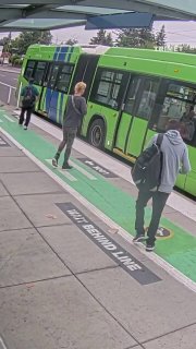 שתי עיזים שנראו בווידאו עולות על אוטובוס עירוני בפורטלנד, אורגון
