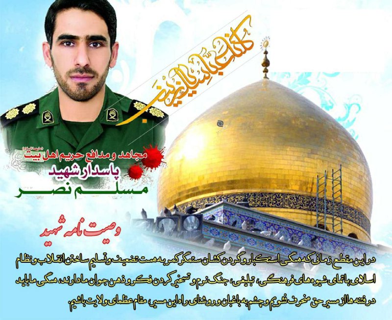 🌷کانال بزرگ شهدا🌷: 💌بسمـ رب الشـهدا.....🕊🌸﷽سبک بالان عاشق﷽در این مقطع زمانے ڪه همگے استڪبار و گردنڪشان ستمگر ڪمر به همت تضعیف و تسلیمساخت