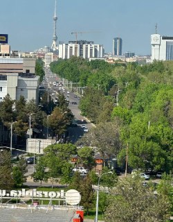Земля Юнусабадский район 17 квартал. 2 гектара 60..000