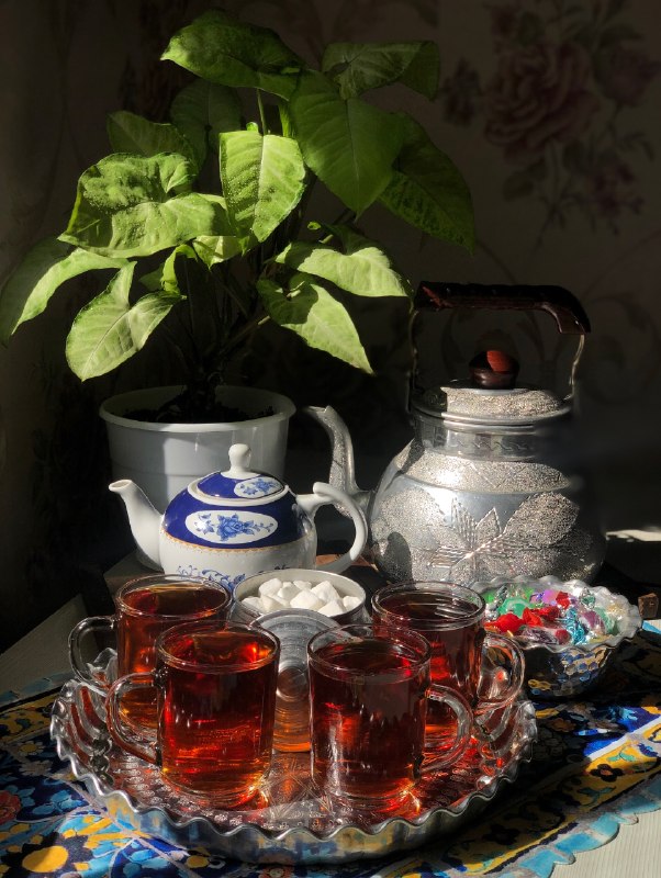 خوشبختے هاے کوچک ☕️: صبح بخیر زندگی ☕️🪻 @Dlkhoosh