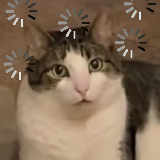 אישה ערמומית קרסנודר רימתה את ירוסלבנה מתוך 700 אלף רובל אישה אלמונית שכנעה תושב נאיבי בירוסלב שקרובי משפחת…