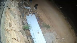 مستوطنون يقتحمون أطراف بلدة فرعتا بقلقيلية
