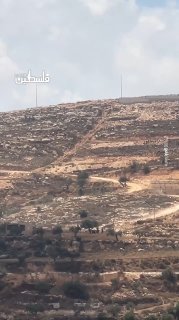 مستوطنون يقتحمون محيط منازل محاصرة في قصرة جنوب نابلس