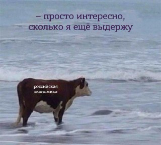 Эксперты прогнозируют, что в следующем году будет с российской экономикой — курсом рубля, ключевой ставкой и инфляцией: https://lentach.media/W6gII