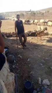 מתנחל מסתער על סביבת בתי תושבים באזור שע'ב אל-בוטם במסאפר יטא, דרומית לחברון