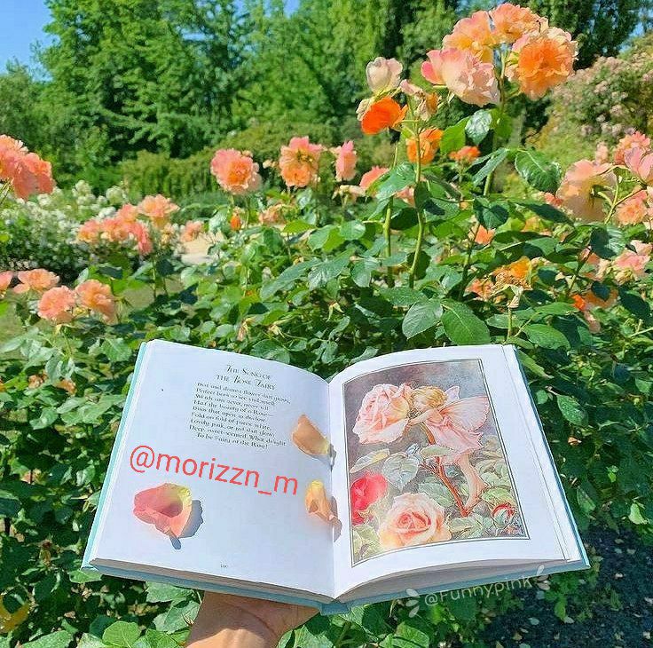 نوای مستانه● مطالب عرفانی ادبی هنری اقتصادی: 🍃Today, I choose to be grateful for everything I have. To be kind and gentle with myself and others, to be present, peac