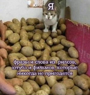 Хочешь систематизировать свои знания, а также подтянуть уровень английского? Ребята из Chat and Chill помогут разговориться в комфортной обстановке. Можно начать с бесплатного вводного урока: https://lentach.media/wuMaF