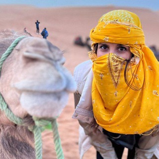 MTV Travel to Morocco✨🇲🇦 Telegram Group Link