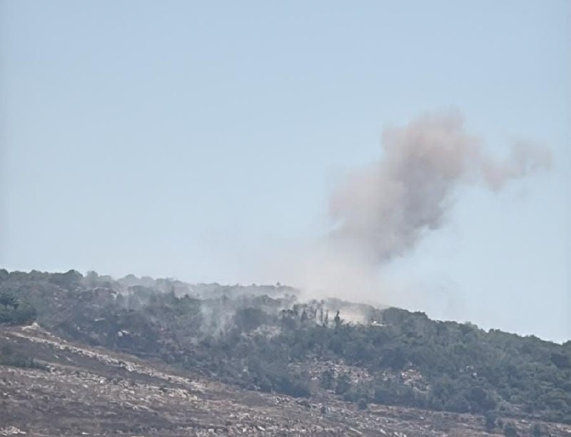 עלי שועיב - חדשות הגבול 🇱🇧