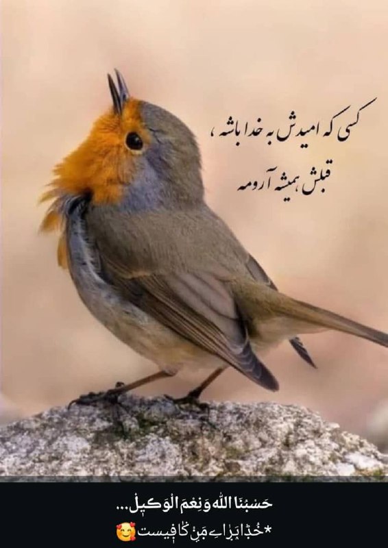 خرید و فروش تویوتا: *سلام*🌹🌹🌹✍️*شکرگزاری* امروز *جمعه**1405/05/23*((*الهی شکرت که امروز را هم دیدم جمعه ای که روز خوش و خوش اقبالی من است*))