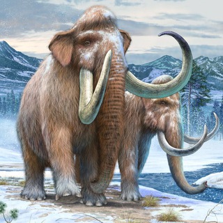 AnimalPlanet Восток, Минск