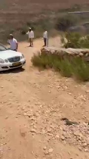 מתנחלים ישראלים שבויים חוסמים את הגישה של פלסטינים מקומיים לאדמותיהם ליד העיר סנג'יל, במרכז הכיבוש בגדה המע…