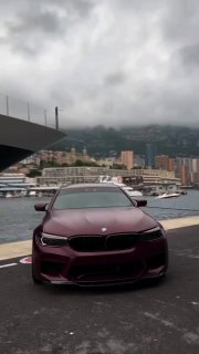https://t.me/bmw_mpower_club