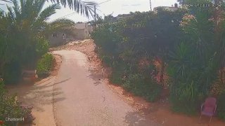 מתנחלים הסתערו על חירבת מסעוד ליד ג'נין
