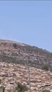דחפורי כיבוש חוצים אדמות פלסטיניות, עוקרים ומשמידים עצי זית באזורים של באב אל-חרגה, קלאסון וג'בל דרוויש בכפ…