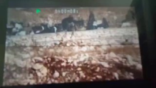 רשת חדשות ירושלים
