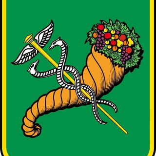Telegram profile photo for Харківська міська рада