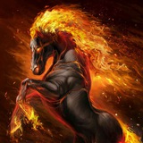 HORSE | TON