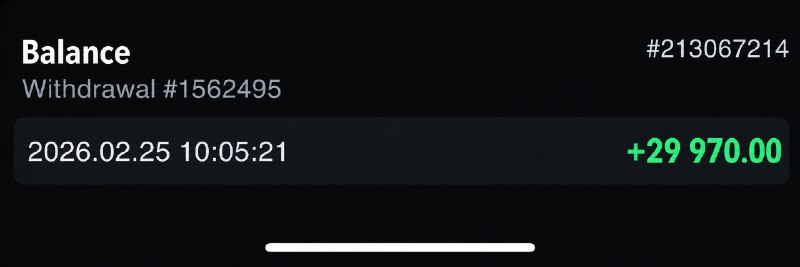 Our team is dedicated to