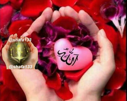 🌹چشم ب راه یوسف زهرا س🌹: برآورده شدن هر مطلبی شب جمعه این دعا را ۳۰۱بار بخواند🌺🍃بِسْمِ اللهِ الرَّحْمٰنِ الرَّحیمِ یٰا مُقَدِّرُ قَدِّرْ یٰامُدَب