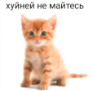 ебейший супер horny чатик