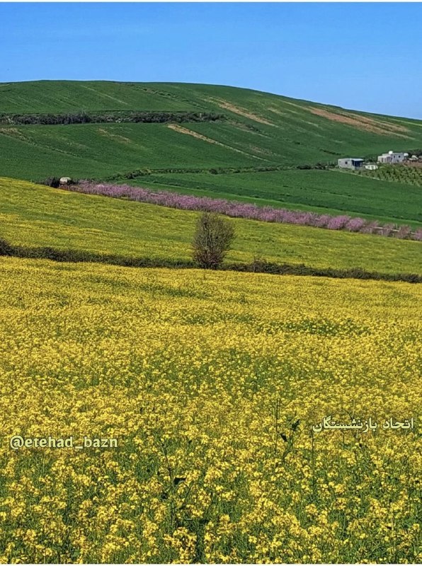 اتحاد بازنشستگان: 🍃🍃 جمعه ۳۰ مرداد ۱۴۰۵۲۱ آگوست ۲۰۲۶۸ ربیعالاول ۱۴۴۸اتحاد بازنشستگان@etehad_bazn