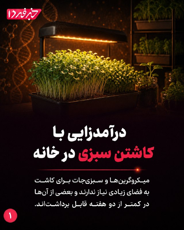 خبرداغ: 🔴 درآمدزایی با کاشتن سبزی در خانه🌐 https://www.khabaredagh.ir🆔 @khabaredagh 👈🔴 درآمدزایی با کاشتن سبزی در خانه🌐 https://