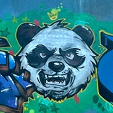Панда в неестественной среде обитания 🐼