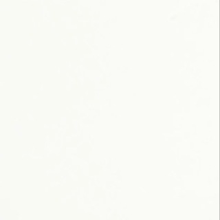 Only Commerce Telegram Group Link