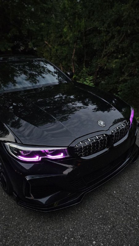 https://t.me/bmw_mpower_club