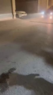 הרגע שבו עיתונאית האסיר פרח אבו עיאש פגשה את אמה לאחר 15 חודשי מעצר בבתי הכלא הכיבוש.