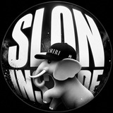 SLON INSIDE