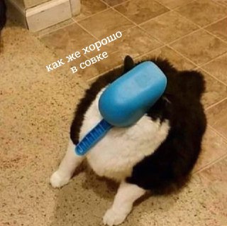 Оценки за поведение могут ввести во всех российских школах с 1 сентября 2026 годаМинпросвещения подготовило проект приказа о внедрении оценки за поведение в школах, сообщает РБК. В документе указано, что «контроль за соблюдением правил внутреннего распоряд