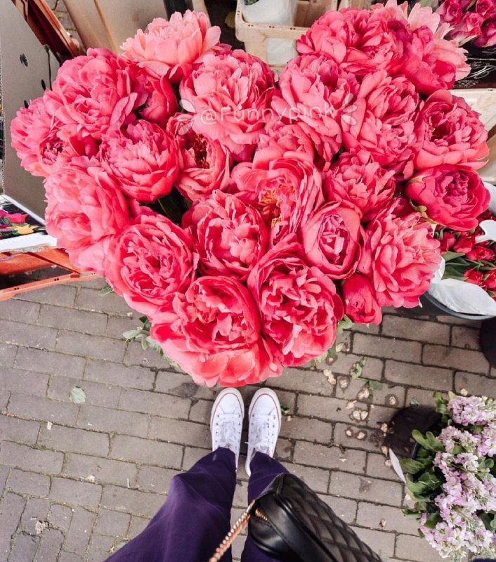 🌹روزگاری غریب🌹: 🌸رفیق واقعی کسی است💖که لابلای شلوغی های روزمره 🌸ذهنش فراموشت نمیکند💖به بهانه ترافیک پر ازدحام زندگیش🌸انتهای کوچه بن بست💖