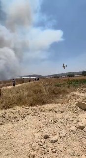 דחוף: עימותים אלימים בין צעירים ועדרי מתנחלים במישור הכפר בית פוריק, מזרחית לשכם, כתוצאה משריפתו של מיליציו…