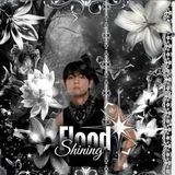 INFO | Shining flood
