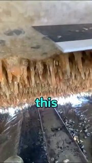 The process of barnacle cleanupScience and facts💡