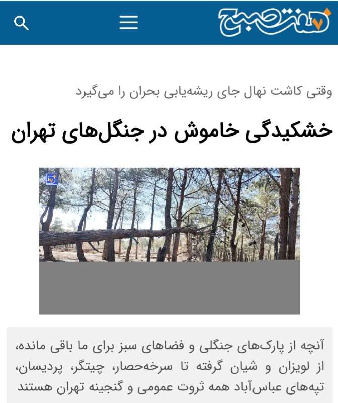 آسوندار (لیلا مرگن، خبرنگار): 🔹درختان پارک‌های جنگلی تهران پس از چهار دهه تلاش، یکی پس از دیگری می‌میرند.🔹عوامل مختلفی در بروز این پدیده نقش داشته است