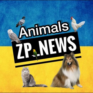 Пошук тварин Zp_news