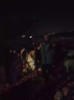 סיורים פרובוקטיביים יומיים.. מתנחלים מתענגים על התקהלות "אבו פאזה" ליד הכפר אל-טייבה, מזרחית לרמאללה.