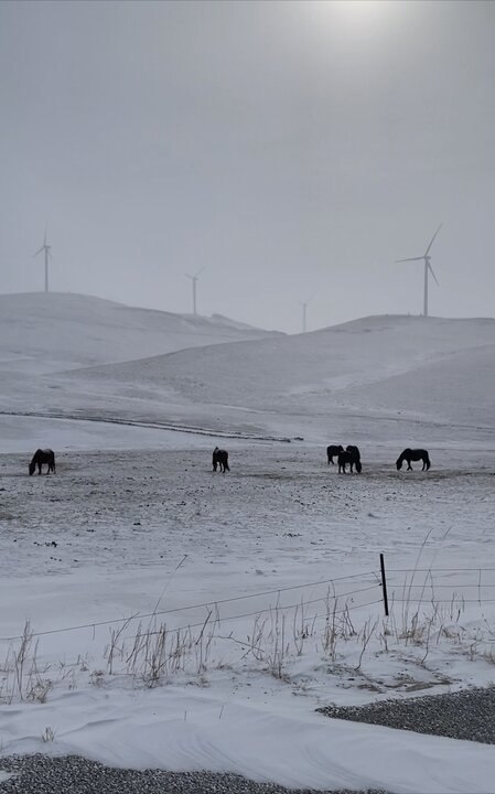 ㄧ個女人包車遊內蒙古