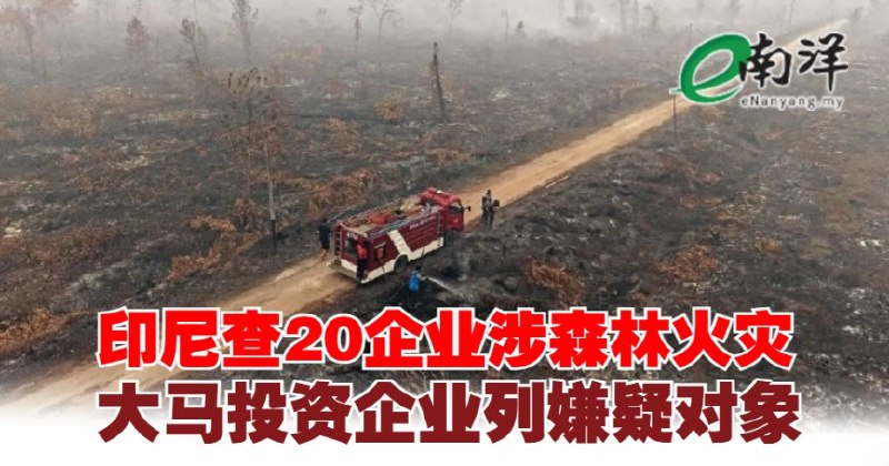 eNanyang.שלי אינדונזיה חוקרת 20 חברות המעורבות בשריפות יער, חברות השקעות מלזיות הרשומות כחשודות