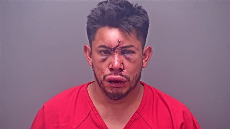 СМИ: 13-летний подросток избил пытавшегося задушить его мать отцаВ американском штате Алабама 13 летний подросток избил до потери сознания своего отца, который пытался задушить его мать во время ссоры. Об этом со ссылкой на Офис шерифа пишут WALA/KOLO8 и W