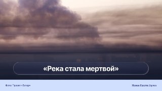 Подмосковная река Гнилуша «умирает» после удара дронов по складу бытовой химии. В потемневшей воде появилась едкая пена и начала массово гибнуть рыбаГнилуша впадает в Северку, а та — в Москву-реку, поэтому жители опасаются дальнейшего распространения загря