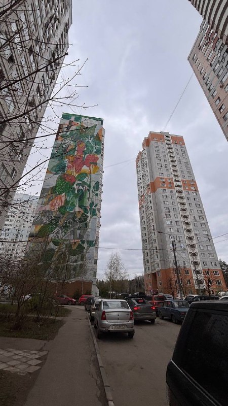 Вот казалось бы неплохая идея, дать место художникам чтобы они смогли и самовыразиться и фасады домов не были… — фото 10 из 10