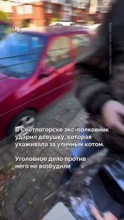 В ноябре прошлого года бывший полковник ударил девушку из-за уличного кота в Светлогорске (Калининградская область). История стала вирусной в соцсетях, пострадавшая пыталась добиться справедливости. Несколько дней назад она сообщила, что в возбуждении угол