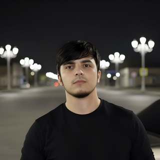 Logo of the Telegram channel sannilo