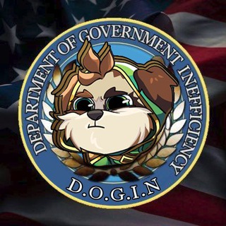 Department Of Government Inefficiency