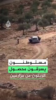 מתנחלים גונבים יבולי זיתים מחקלאים פלסטינים באזור אבו צפא בעיירה דיר דיבואן, צפונית מזרחית לרמאללה.